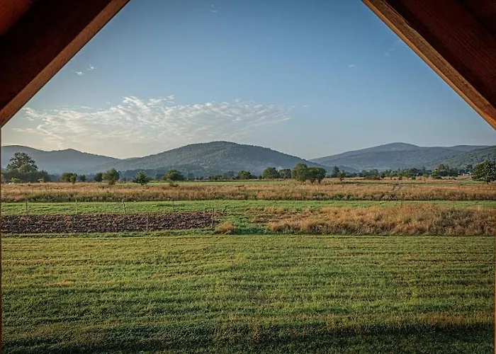 U Anitki I Nikosia * Jelesnia