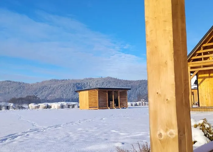 U Anitki I Nikosia Apartment Jelesnia